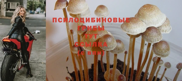 эйфоретик Покровск