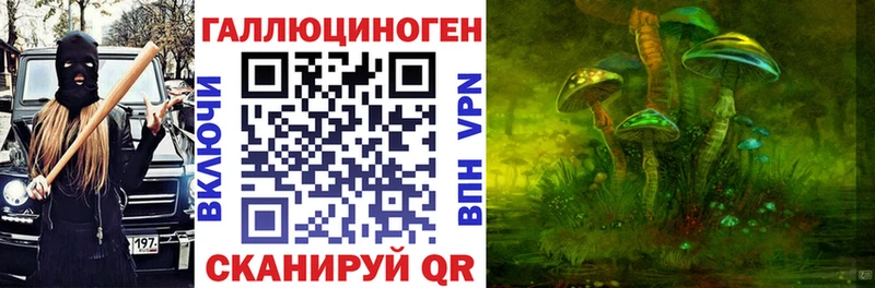 закладки  Семёнов  Галлюциногенные грибы Magic Shrooms 